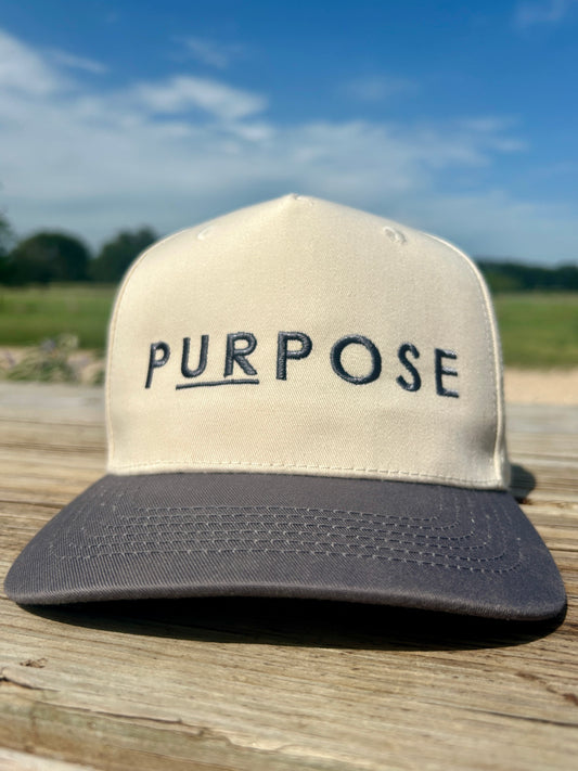 PURPOSE Hat - silver